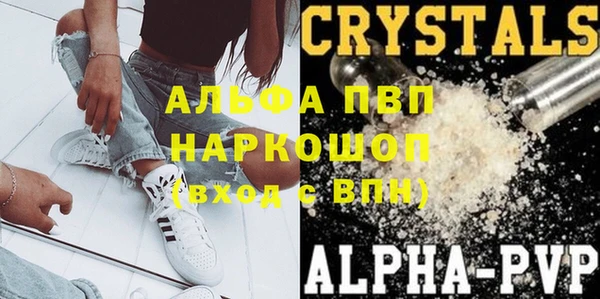 гидра Гусев