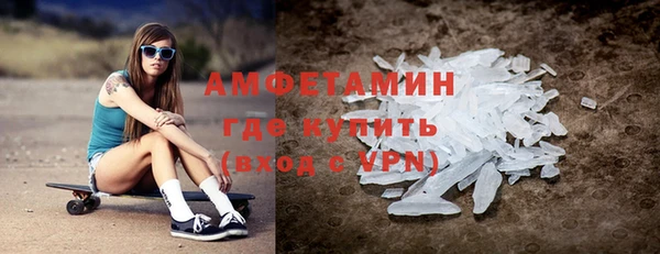 гидра Гусев