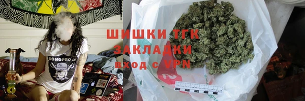 не бодяженный Горно-Алтайск